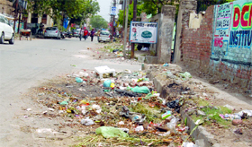 Garbage lies scattered on Lawrence Road in Ward 50 in Amritsar.