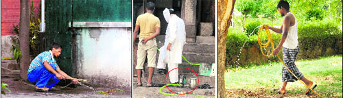 A domestic help washes the floor with fresh water at a house in Sector 27 on Sunday.  (centre) Despite the ban, the owner of a shop uses a booster pump (encircled) at Sector 28. Tribune Photos: S Chandan (right) Ignoring the MC order, a man waters plants at Sector 8 in Chandigarh on Sunday.