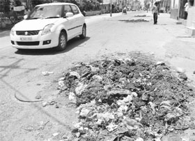 Garbage dumped at the Sabzi Mandi Road