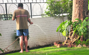 Ignoring the MC order, a man waters plants at Sector 8 in Chandigarh on Sunday. 