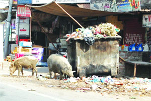 A pile of garbage lies on a road