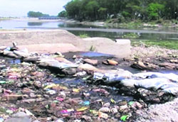 Heaps of garbage on the banks of the Yamuna. 