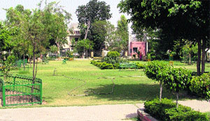 A well-maintained park at Ward No. 49 in Ludhiana