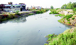 The gunda nullah passing alongside the bypass road is a source of several problems for Ward 4 residents in Amritsar