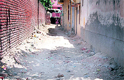 An unpaved street in the Tungpai area in Ward 19 in Amritsar