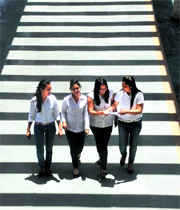 A road stretch looks like a zebra crossing due to the sunny weather at an institute in Phase I of Mohali.
