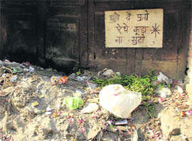 A garbage dump on a street in a residential area in Ward 20. 