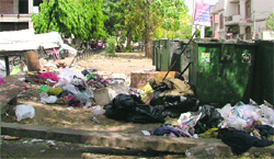 Garbage lying scattered outside bins put up by A2Z Waste Management Ludhiana Limited at Pakhowal Road. Photo: Inderjeet Verma