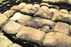 Bags of rotten paddy at a rice mill in Kotkapura