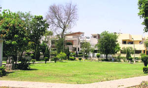 A well-maintained park at Ward No. 54 in Ludhiana