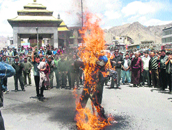 BJP activists burn an effigy of the Prime Minister during a protest rally against petrol price hike in Leh on Thursday. A Tribune photograph