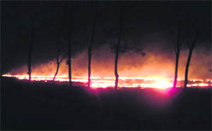 A fire at the Punjab Agricultural University seed farm in Faridkot.