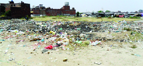 An open place has been turned into a dumpyard in Ward 18 in Amritsar.