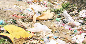 Garbage dumped along the Malhar Road at Ward No. 56 in Ludhiana. 