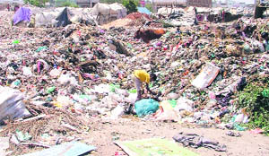 Heaps of garbage welcome visitors to Ward No. 57 in Ludhiana