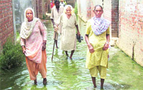 Water from sewerage floods a street of Gandhi Nagar in Jagraon. 