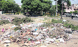 Heaps of garbage dumped in a park at Master Tara Singh Nagar in Ward 31 in Jalandhar