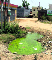 Dirty water at Guru Nanak Colony makes life hell for residents.