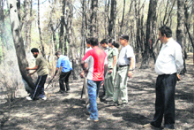 Forest officials douse a fire in a forest in Tapovan near Dharamsala on Sunday.