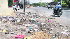 Garbage scattered on the road at Shaheed Udham Singh Nagar in Ward 35 of Jalandhar. Photo Sarabjit Singh