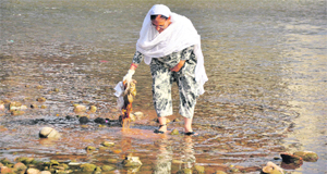 A woman removes polythene from the Tawi river on the eve of Environment Day on Monday. 