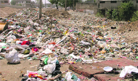 A view of garbage strewn along the Sidhwan Canal in ward number 67.