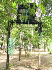 An ill-maintained green belt in ward number 69 in Ludhiana.