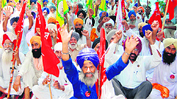 Members of farmer organisations stage a protest at the DC office in Amritsar on Tuesday