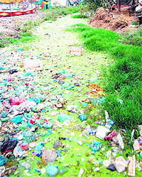 An open drain near Bhadrakali Colony in Ward Number 58 in Amritsar