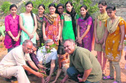 Teachers and staff of HNB Garhwal University plant saplings at Srinagar on Tuesday.