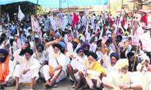 Farmer and labour organisations stage a dharna in front of the DC office in Tarn Taran on Tuesday.