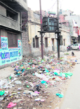 Garbage lifting has to be more regular, demand residents of Ward 48 in Amritsar.