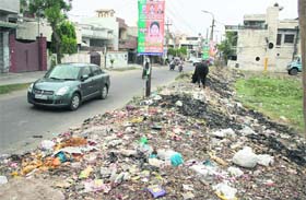 Garbage dumped in a vacant plot in JP Nagar in Ward 44 of Jalandhar