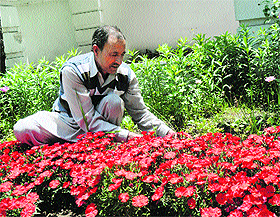 A gardener tends to a flower bed in Srinagar.