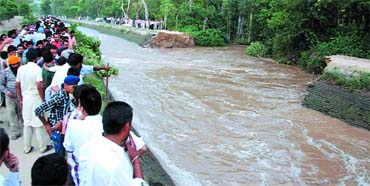 A breach in the Bathinda branch of the Sirhind Canal inundated the nearby deer park in Bir Talab village of Bathinda district on Thursday.
