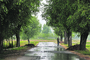 A Kashmiri man walks along a road during rain on the outskirts of Srinagar on Thursday. Thousands of holiday-goers have arrived in the Valley to enjoy the beauty of its landscapes, as violence ebbs in the state wracked by insurgency since 1989. 