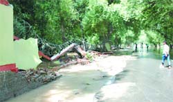 A large part of the boundary wall of the Mini Zoo was damaged as water gushed into the zoo following the breach in the Bathinda branch of the Sirhind Canal. 