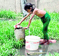 A girl fetches water from a public tap, where nullah water has accumulated at Jwalapur in Haridwar on Friday
