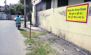 A garbage-dumping site that has been cleared by residents near Red Cross Bhawan in Jalandhar. 