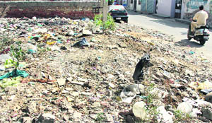 Garbage dumped in a vacant plot in Ward 51 of Jalandhar. 