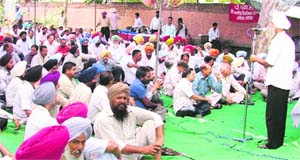 Activists of the PSEB Employees Federation and PSPCL employees stage dharna in Ludhiana on Friday. 