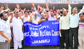 Members of the State Government Employees Joint Action Committee protest in favour of their demands in Jammu on Saturday.