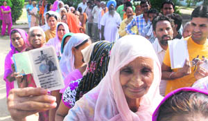 Voters of all age groups turn out in large numbers in the MC elections in Amritsar on Sunday. 