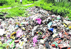 A heap of garbage lying on the Kanwar patri stretch in Haridwar. 