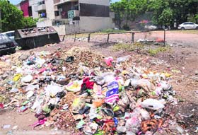 A view of garbage lying scattered in Chandigarh