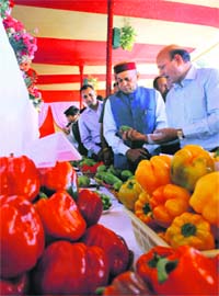 Chief Minister PK Dhumal at an exhibition organised by the Department of Horticulture in Shimla on Monday