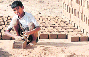 Even as the world is busy celebrating World Day against Child Labour, 13-year-old Rajesh makes bricks at Barota village in Karnal on Tuesday. 