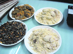 Samples of fungus-infected foodstuff