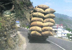 An overloaded vehicle plies on the Kalka-Shimla road. 