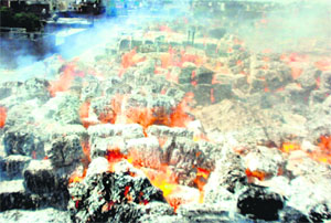 Tonnes of raw material was reduced to ashes at Khanna Paper Mill in Amritsar on Tuesday